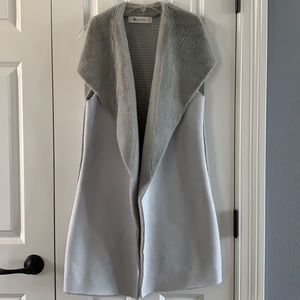 Beautiful Impeccable Pig Vest